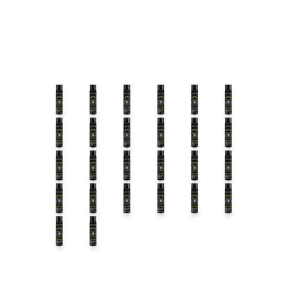 Lorenti Hair Spray Backbar Case Bundle — 26 Pack complete white background